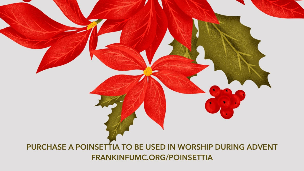 Poinsettia slide